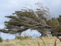 Albums/20060200-New Zealand 2006/20060212-south/4